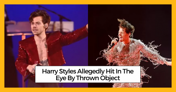 Harry Styles Allegedly Hit In The Eye By Thrown Object